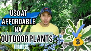 MGA USO AT AFFORDABLE NA OUTDOOR PLANTS  PART 2 [upl. by Neerihs819]