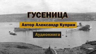 Гусеница АКуприн Аудиокнига аудиокнига аудиокниги куприн роман рассказ бесплатно [upl. by Eirrehc]