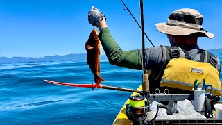 Bottom Fishing from Kayak  Washington Coast Neah Bay [upl. by Sakul389]