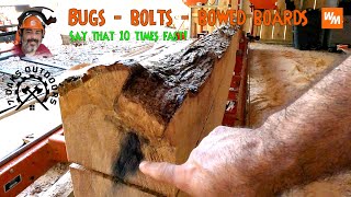 Bugs bolts and bowed boards  Cutting 16 oak trailer boards  day [upl. by Doerrer736]