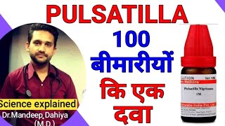 Pulsatilla homeopathic medicine uses in hindi  Pulsatilla nigricans 30 200 1M uses [upl. by Dlarrej]