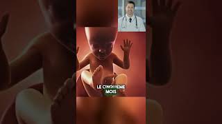 L’évolution en 9 mois du bébé pendant la grossesse 👶 bebe foetus grossesse enceinte futureme [upl. by Adrell]