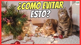 🔴 ¿COMO EVITAR QUE MI GATO SE SUBA AL ARBÓL DE NAVIDAD ¿HAY ALGÚN REPELENTE PARA GATOS EFECTIVO 🔴 [upl. by Bondy44]