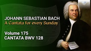 JS Bach Auf Christi Himmelfahrt allein BWV 128  The Church Cantatas Vol 175 [upl. by Reedy533]