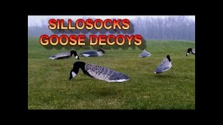 Sillosocks Canada Goose Decoys [upl. by Cadmar]