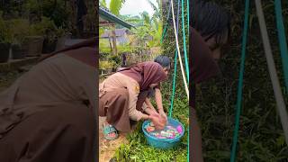 bocil mandi permen diy kreatif viral art craft [upl. by Dona]