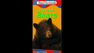 KidVisions Real Animals A Day with Bears [upl. by Tini774]