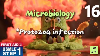 USMLE  First Aid Step 1 Microbiology Protozoa infection usmlestep1videos usmlestep1 [upl. by Rehteh]