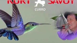 COLIBRI  KURT SAVOY Curro [upl. by Derrej]