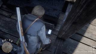 Red Dead Redemption 2  Unlimited Money Glitch Limpany [upl. by Aikyn738]