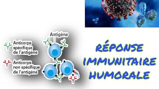 le cours de limmunité spécifique à médiation humorale 3AC [upl. by Sairahcaz965]