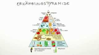 Die Ernährungspyramide Übersicht  Biologie  Humanbiologie [upl. by Ahsinev]