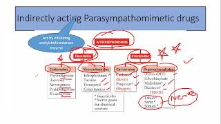 Parasympathomimetic drugs part 2 [upl. by Rosanne148]