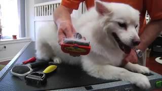 Demonstration Furminator DeShedding Tools [upl. by Nnylyma]