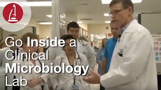 Go Inside a Clinical Microbiology Lab [upl. by Clayberg]