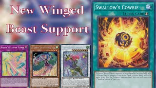 Swallows Cowrie Harpies February 2024  Yugioh Deck Showcase [upl. by Etteiluj]