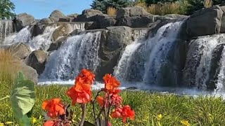 Absolutely Gorgeous WaterFalls  Rosemont Illinois [upl. by Kessel320]