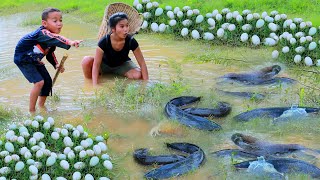 survive in the jungle  Catch CatFish and egg at river  Fried Fish with chili Eating delicious HD [upl. by Nnadroj]