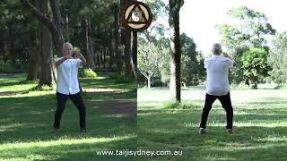 Larry Friedberg Taijisydney Exercise 4  Song Gong 4 [upl. by Euphemiah]