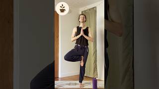 Tree Pose Foundations  Yoga For Beginners yoga yogapractice beginneryoga treepose yogalife [upl. by Ettennod86]