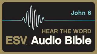 ESV Audio Bible Gospel of John Chapter 6 [upl. by Wylde]