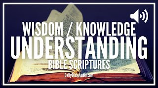 Bible Verses On Wisdom Knowledge and Understanding  Encouraging Scriptures [upl. by Hewe]