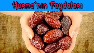 Hurmanın Faydaları  Pişirmece  Yemek Tarifleri [upl. by Adekam32]