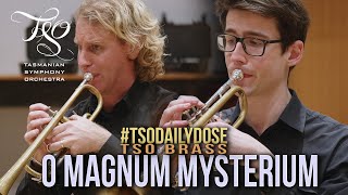 TSODailyDose O Magnum Mysterium for Brass [upl. by Hakaber]