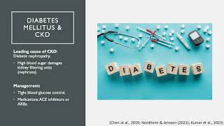 Pathophysiology Chronic Kidney Disease [upl. by Bodi]