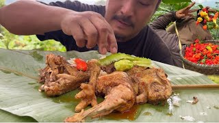 King chilly harvesting  eating tender chicken  harvesting organic vegetables [upl. by Yun]