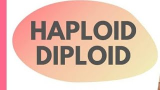 Haploid and Diploid cells Tamil Mightymedicoz [upl. by Anirtek150]