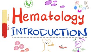 Hematology  Introduction  Hematopoiesis Lets Make RBCs WBCs and Platelets Hematology Playlist [upl. by Hedve]