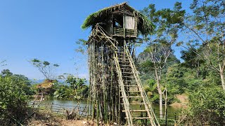 Building a house on the highest bamboo clump  7 days to build a tree house off the grid [upl. by Oberg]