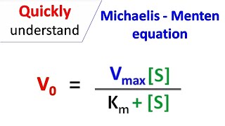 Michaelis Menten equation [upl. by Ewens]