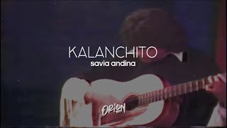 KALANCHITO SAVIA ANDINA  LETRA [upl. by Karil]