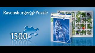 Ravensburger Puzzles 1500  18000 pieces [upl. by Lovato]