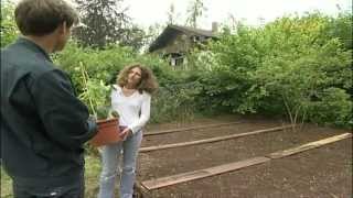 Gartentipps Beet anlegen ein Bauernbeet selbst gemacht [upl. by Jarl]