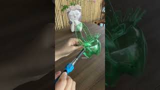 Beautiful design cut bottle plastic growing flowers so beautiful garden flowers plantingplan diy [upl. by Toole491]