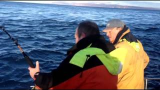 280lb Porbeagle Shark from the Pentland Firth Scotland [upl. by Ide625]