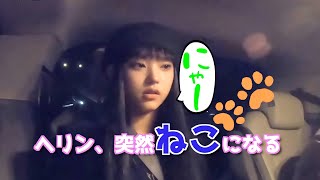 【NewJeans】ヘリン、メンバーが練習中いきなり猫になる【切り抜き日本語字幕】 [upl. by Iasi]