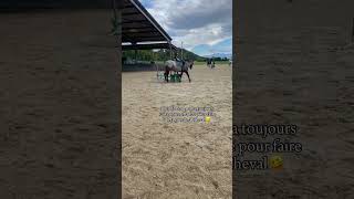 🤣 horse csnpony equestrian pony chevalpassion ponyfun cso cheval poney riding [upl. by Epp]