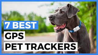 Best Gps Pet Trackers in 2024  How to Choose a Tracker to Keep an Eye on your Pet [upl. by Peers]