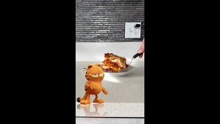 The Great Lasagna Heist Garfield the Cat and Penny the Ginger Cat are caught on Furbo [upl. by Novel]