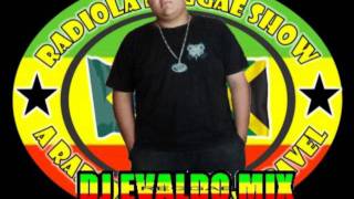 MELO DE PROBLEMATICO 2011 DJ EVALDO MIX [upl. by Hamaso]