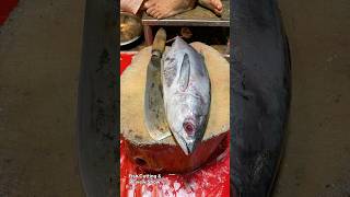 Expert Techniques for Cutting Tuna Fish Live  Tuna Fish Cutting Skills shorts [upl. by Ettesyl288]