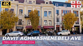 【4K】TbilisiGeorgia 4K Walking Tour in Davit Aghmashenebeli Ave 2024 [upl. by Ossy]