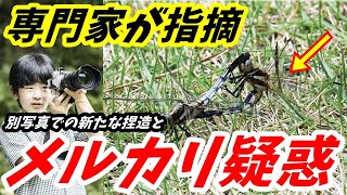 悠仁くん トンボ相論文の別写真でも異常発見 さらに噂される「メルカリ疑惑」について [upl. by Ativoj]