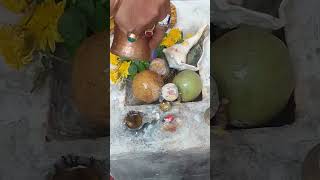 Shiva abhishekam [upl. by Solrak]