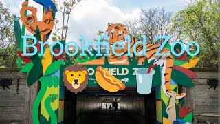 Going to Brookfield Zoo [upl. by Notsgnal951]