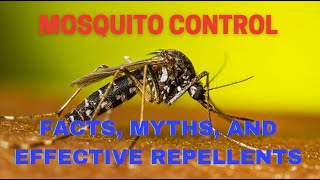 Mosquito Control Facts Myths and Effective Repellents [upl. by Nylirret]